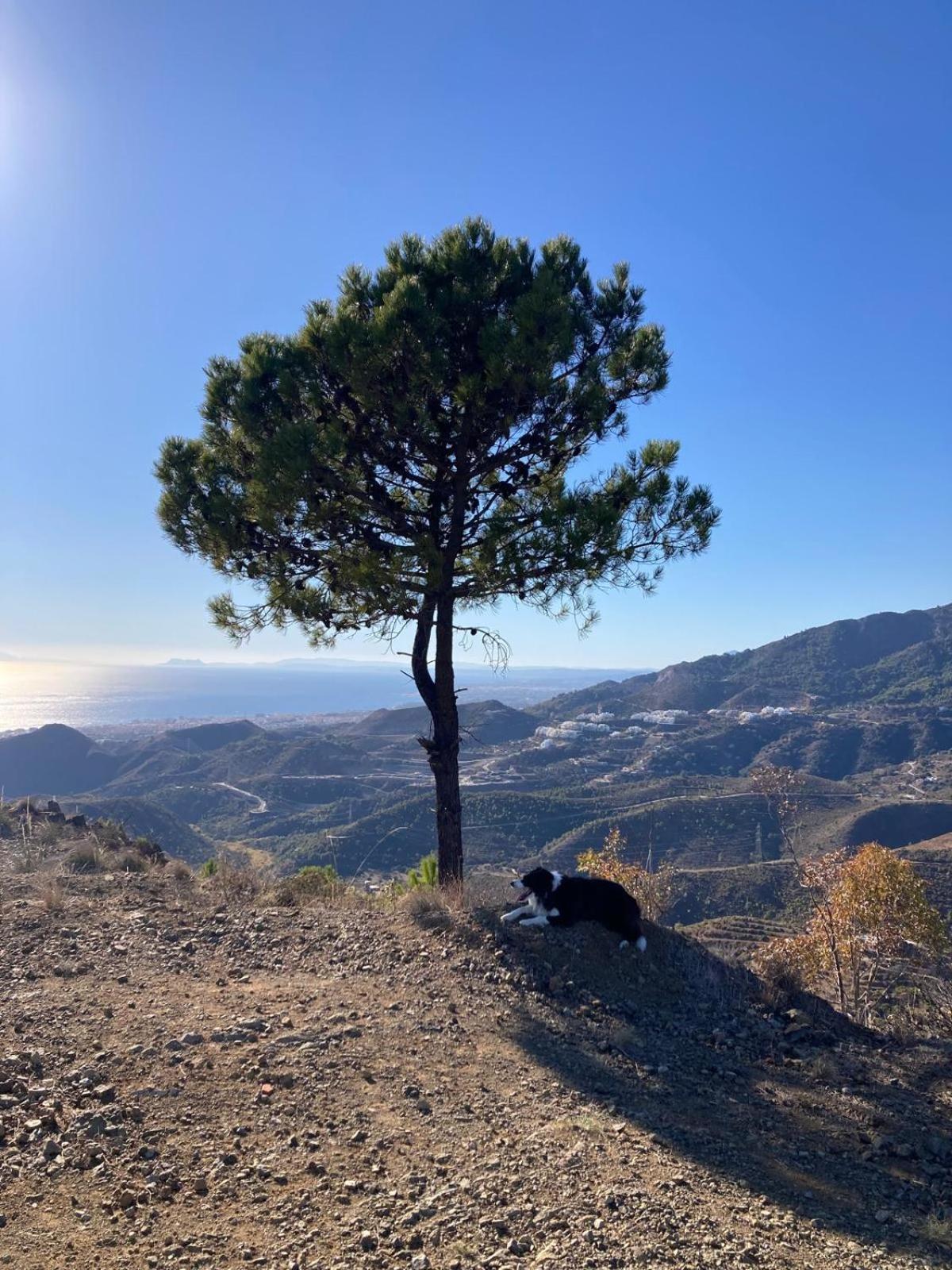 El Nido By Bh Marbella Διαμέρισμα Εξωτερικό φωτογραφία